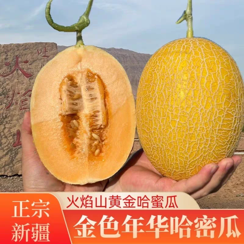 【空运直达】新疆直发正宗新疆金色年华哈密瓜当季新鲜脆甜多汁水果
