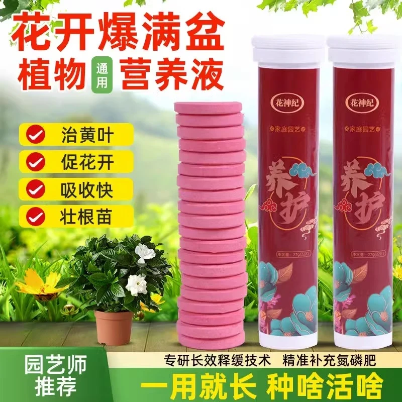 绿植缓释肥片22片通用型缓释长效控释盆栽花卉多肉懒人