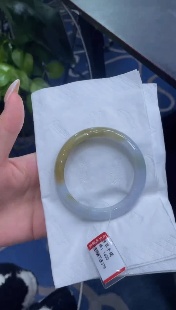 未镶嵌手镯翡翠8395****