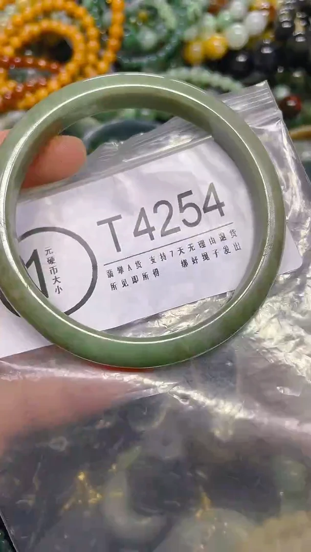 颈饰未镶嵌翡翠56/ T /翡翠A货，一件也是批发价