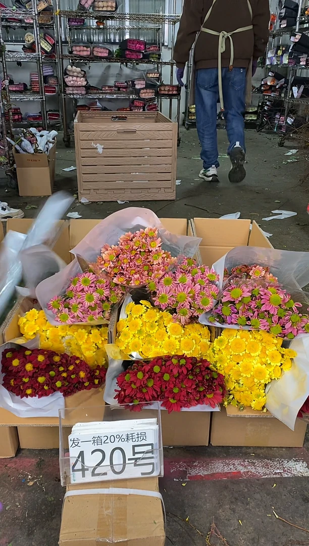 420号♥中通含20%耗损发一箱鲜花