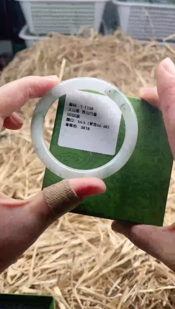 未镶嵌手镯石英岩玉T-1158