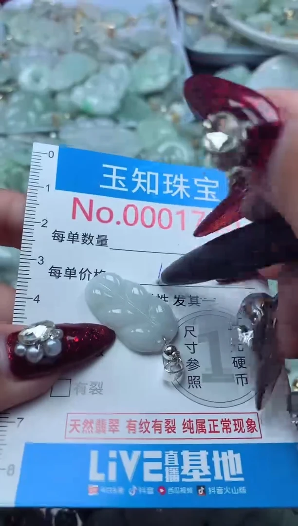 颈饰未镶嵌翡翠1720