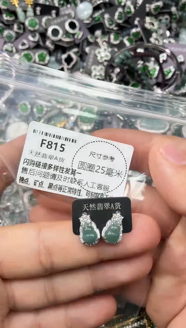 翡翠未镶嵌颈饰F815耳钉