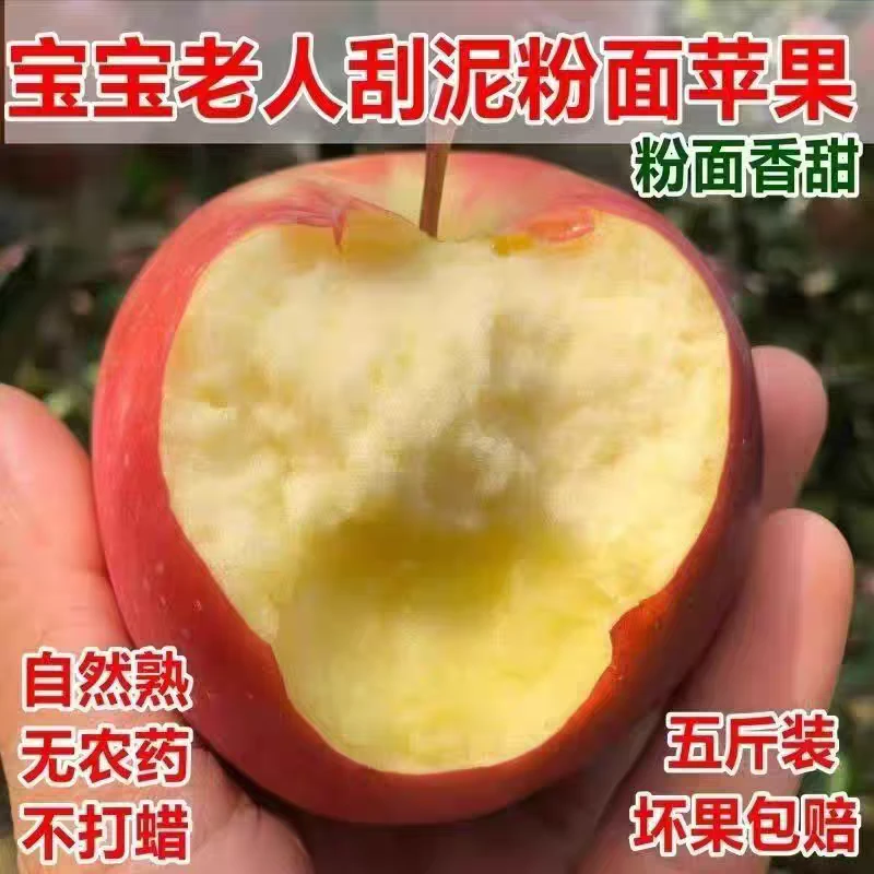 粉面沙甜苹果老红星苹果新鲜水果宝宝老人皆宜粉糯沙甜刮泥苹果