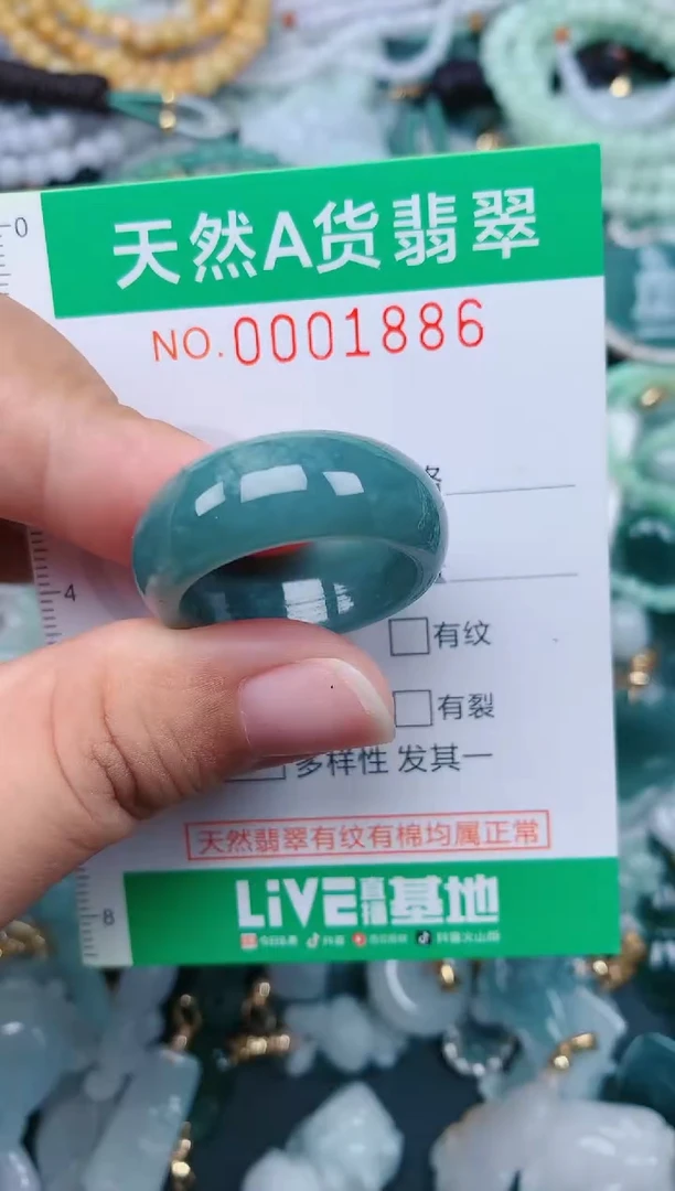 颈饰未镶嵌翡翠.0001886