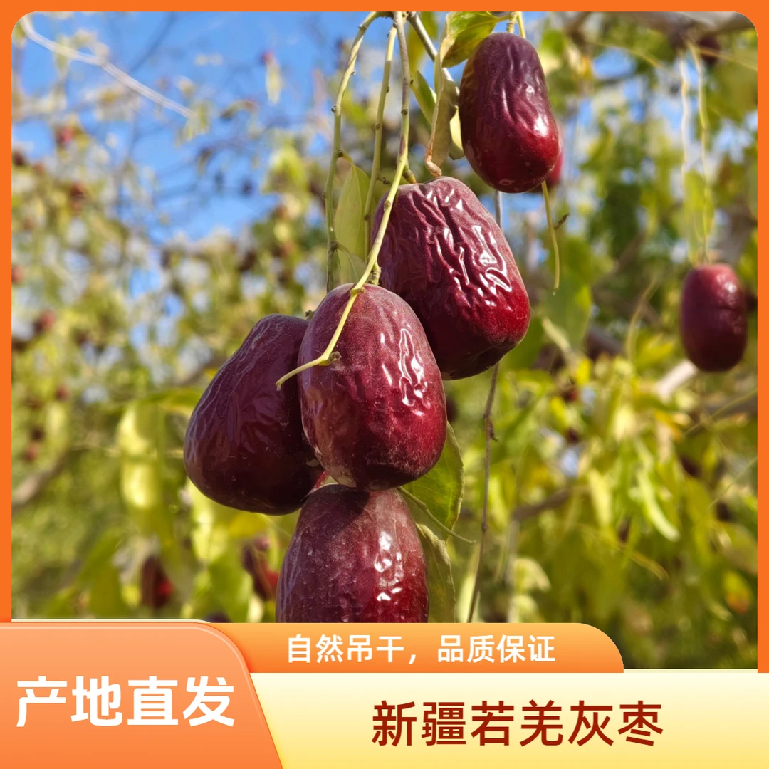 【若羌灰枣产地直发】新疆若羌特级吊干灰枣2025年新枣带土发货