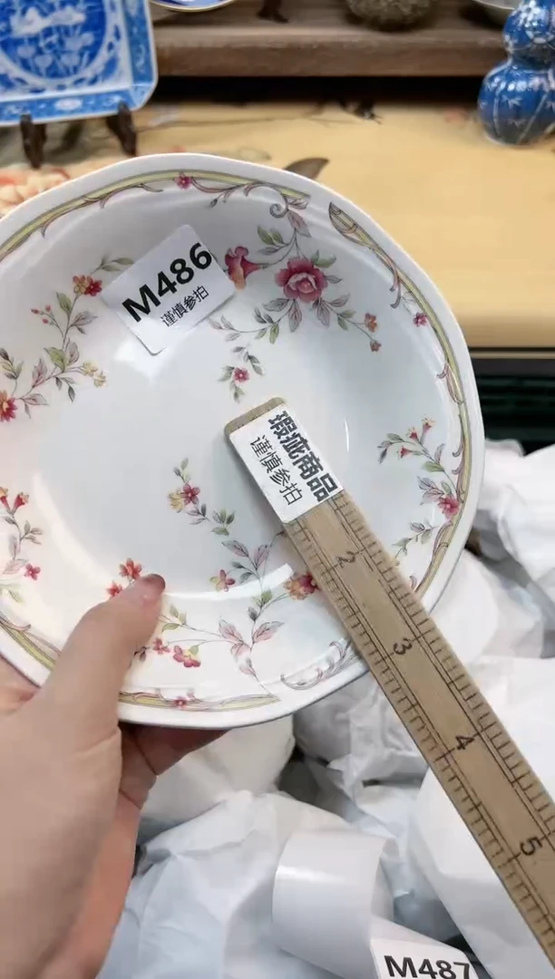 瓷片大*           486