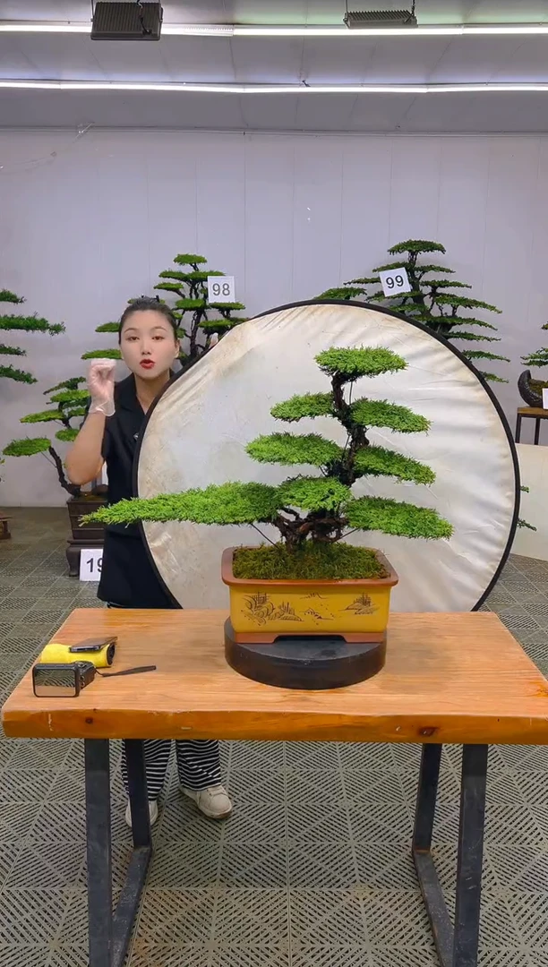 无花朵一物一拍一物一拍
