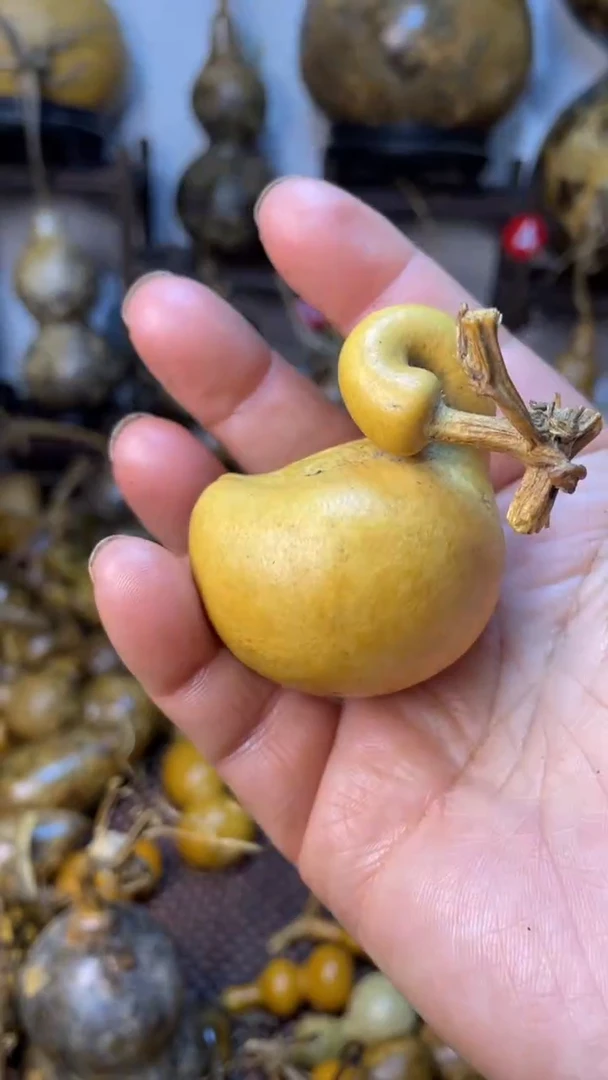 【闪购商品】葫芦葫芦葫芦葫芦