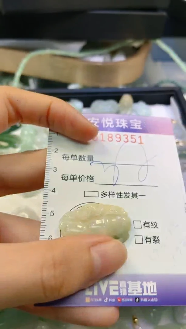 翡翠未镶嵌颈饰闪购0189351