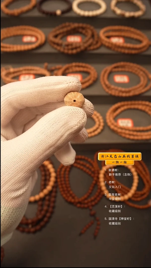 吊坠五线菩提大*天1颗