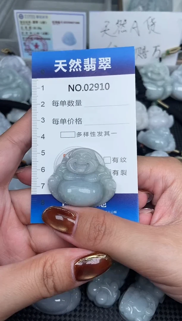 颈饰未镶嵌翡翠天然A货翡翠纯2910