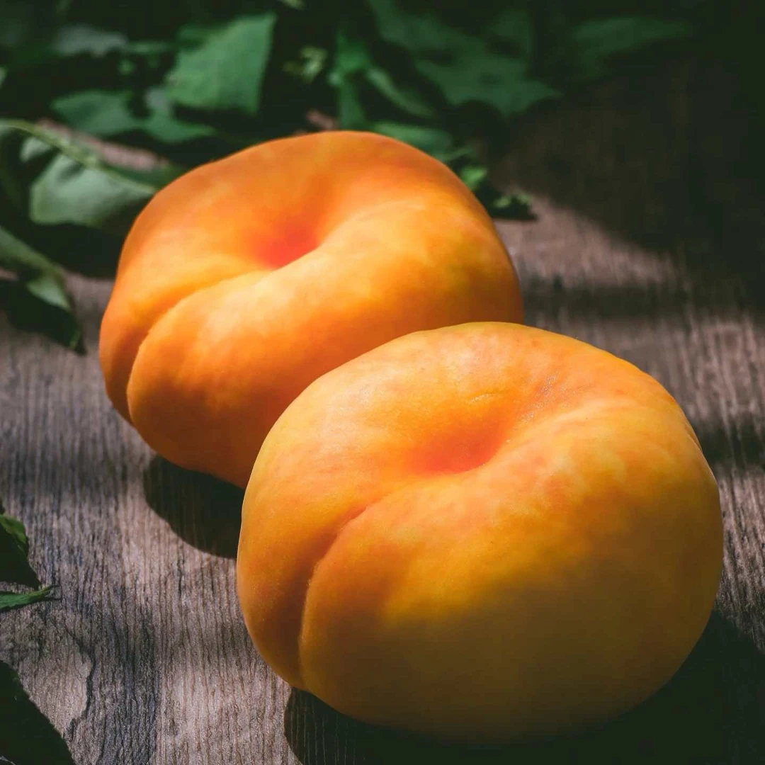 【东胜同城搜送】大连A级黄蟠桃19.9元一斤内蒙古自治区