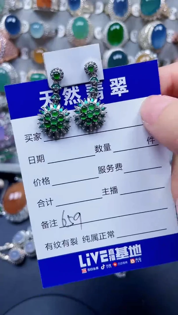 银S925镶嵌翡翠耳饰659