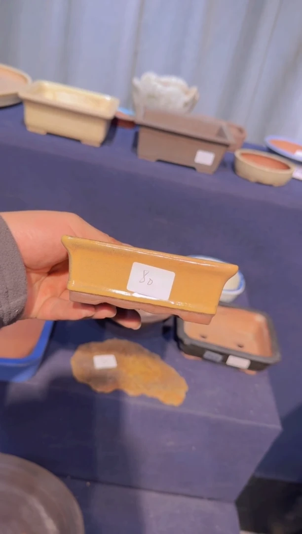 【闪购商品】-方盆-V89