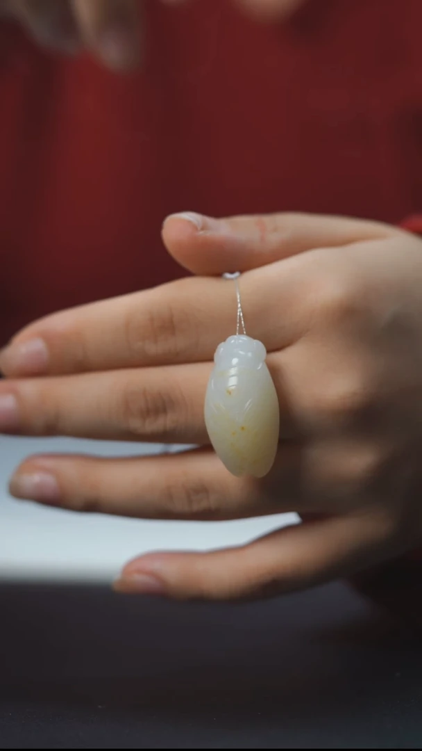 吊坠(赠链)未镶嵌和田玉HE50284 (籽）