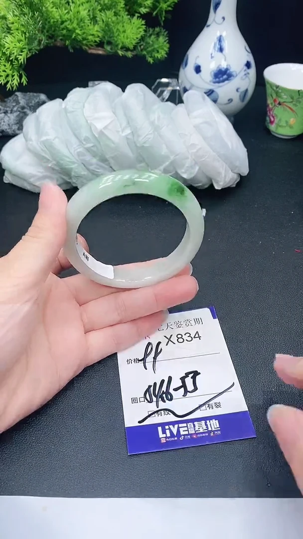 未镶嵌手镯翡翠834