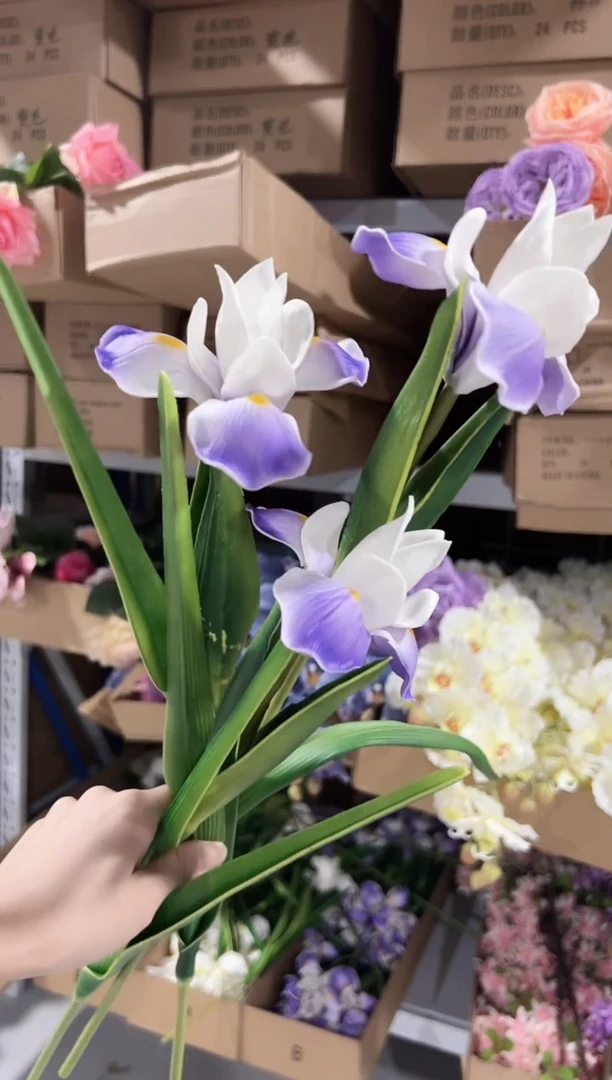 3枝紫色鸢尾花花