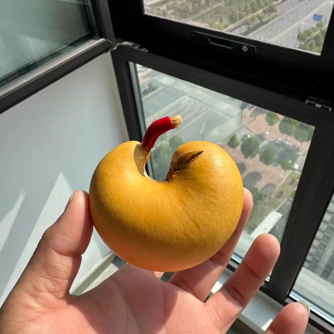 文玩摆件福袋专享链接