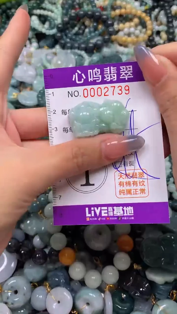 颈饰未镶嵌翡翠闪购002739