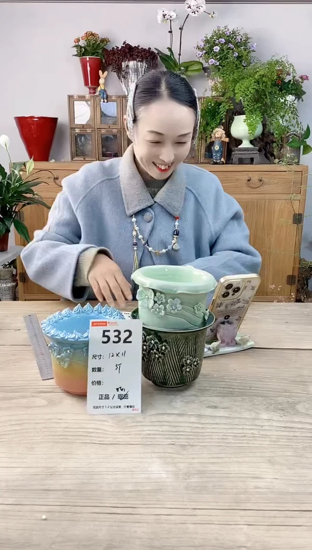 小玩子花盆直播编号532