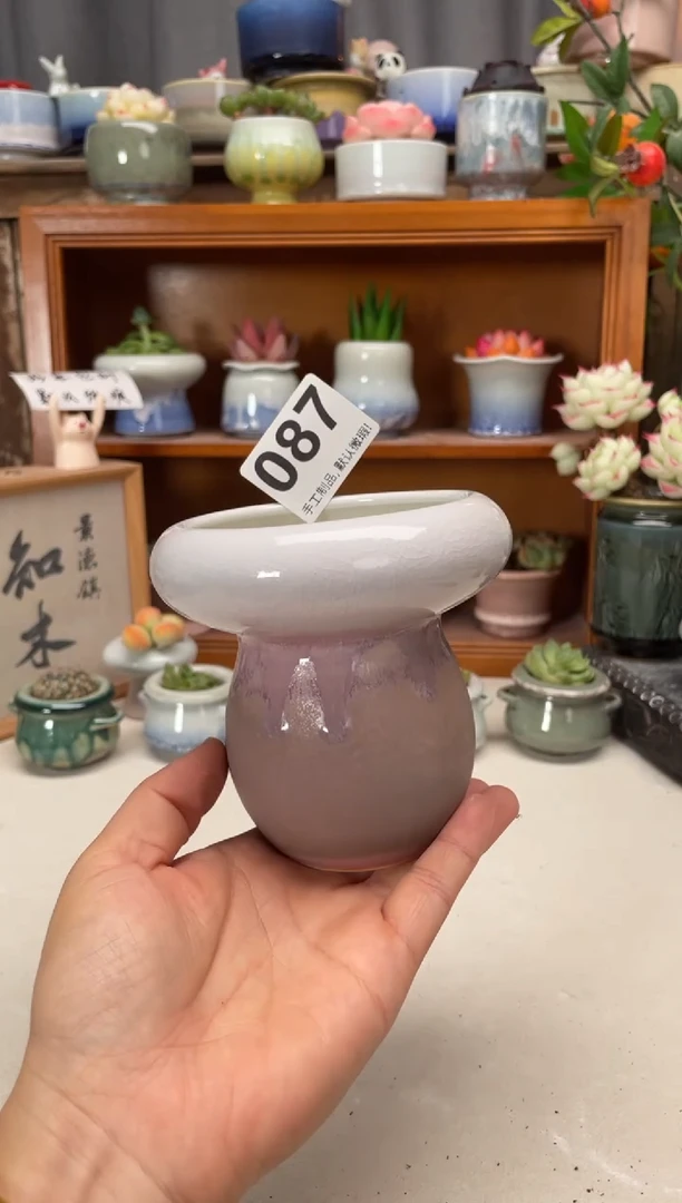 瓷片087知木小芳花盆