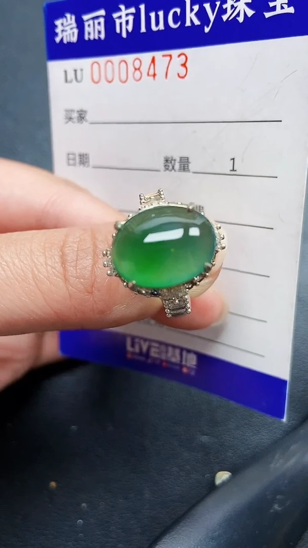 颈饰未镶嵌翡翠8473