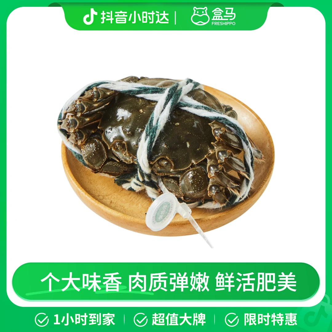 盒马 鲜活大闸蟹(公蟹) 190-210g/只(3.8-4.2两)