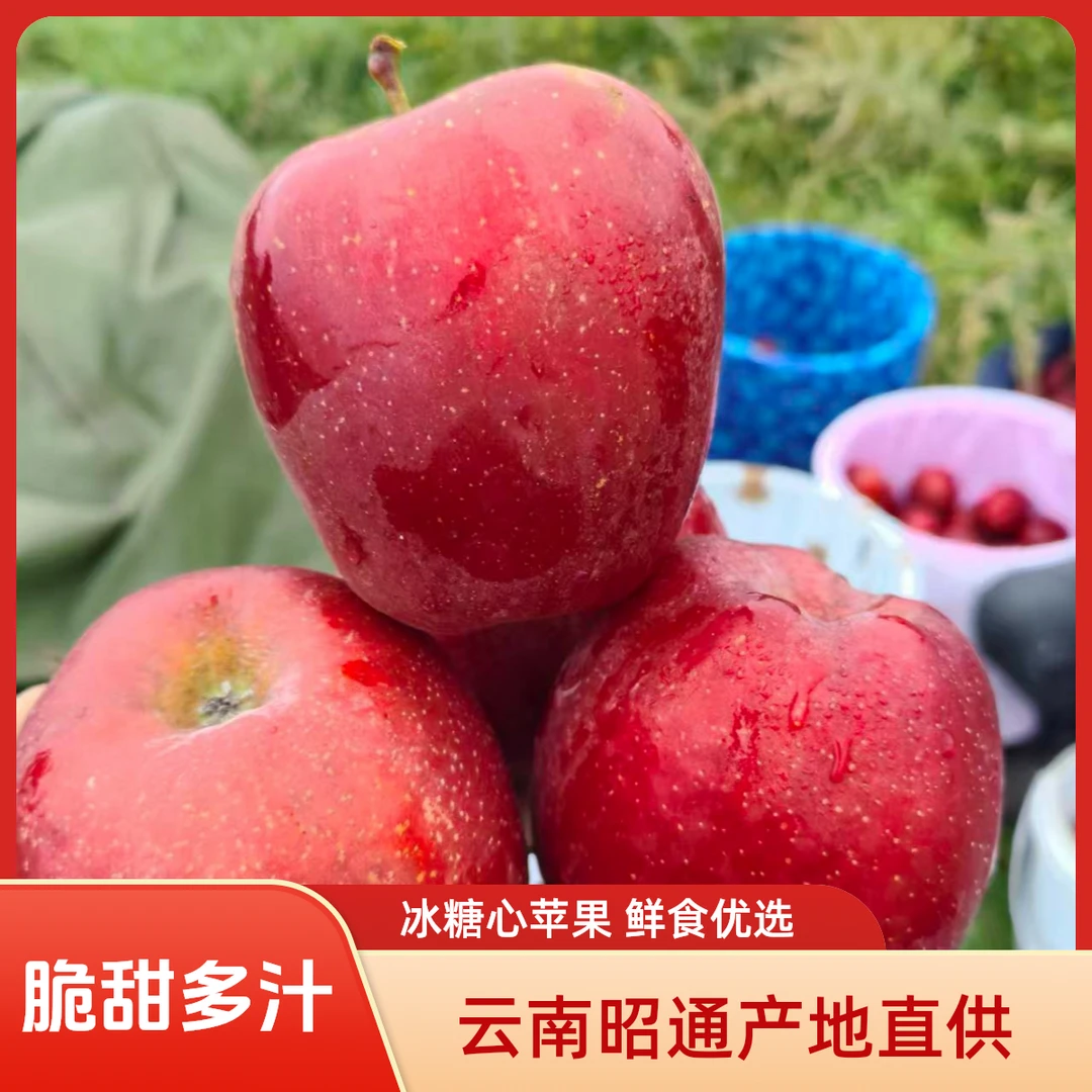 云南昭通丑果当季新鲜水果现摘新鲜应季水果苹果丑苹果冰糖心糖心