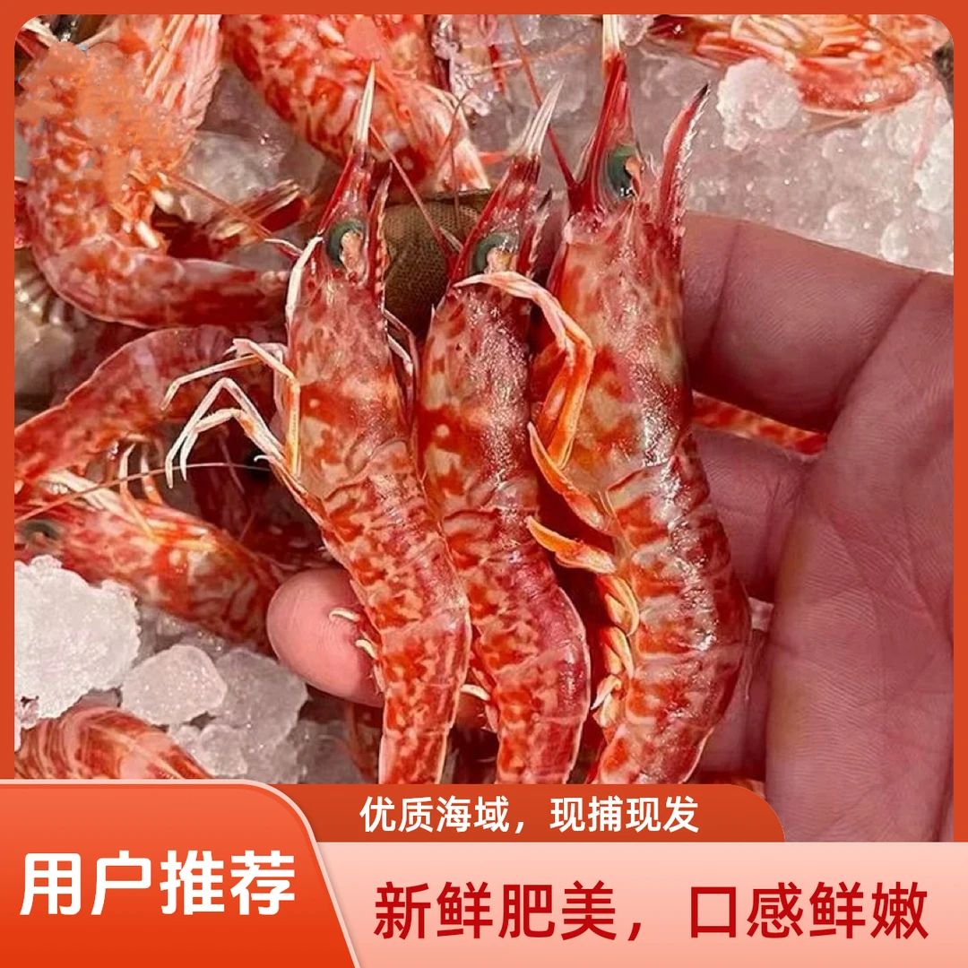 海捕当季野生樱花虾台湾海峡海域高品质海域鲜活速冻
