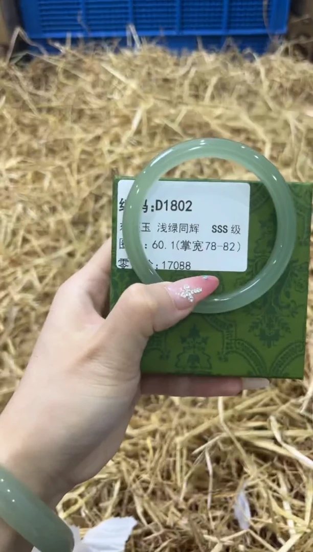 未镶嵌手镯石英质玉D1802