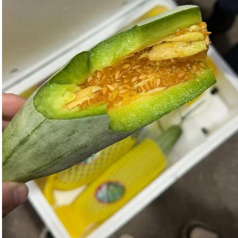 羊角蜜甜瓜750g（山东）