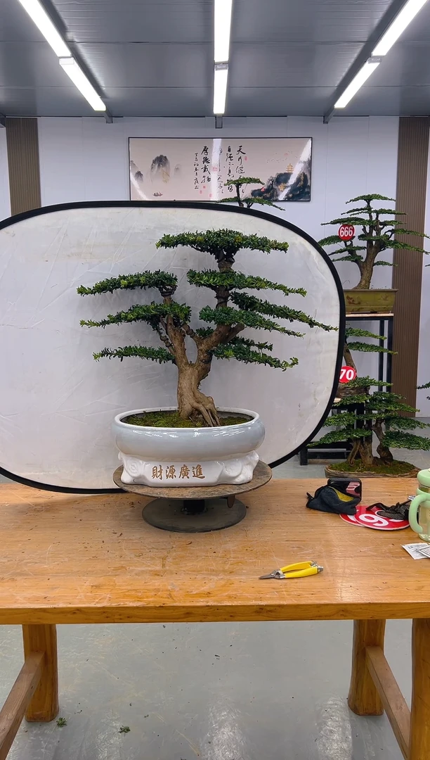 无花朵诚**本00000000000