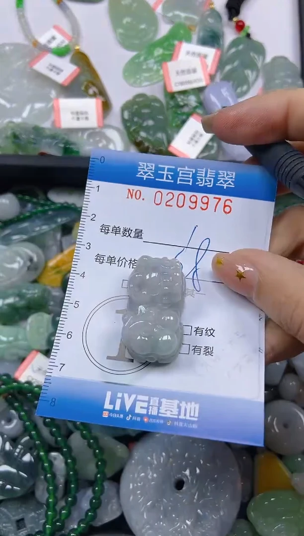 颈饰未镶嵌翡翠闪购C0209976