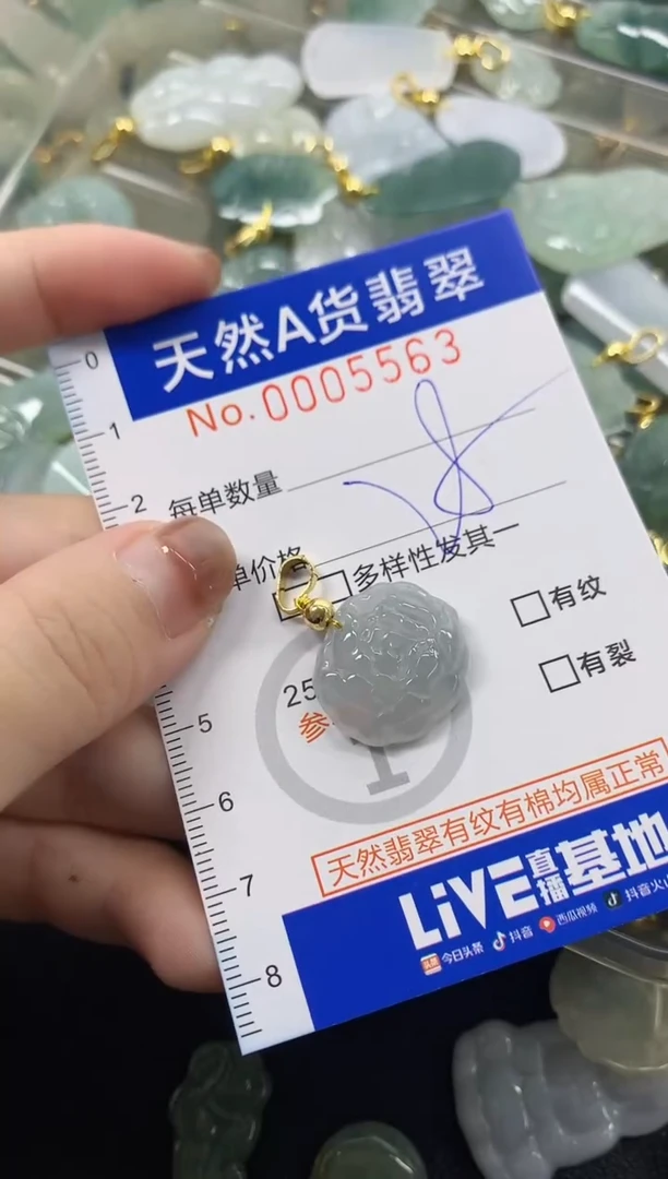 颈饰未镶嵌翡翠天然A货翡翠