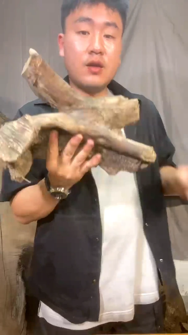 蓝*金丝楠木小叶干料