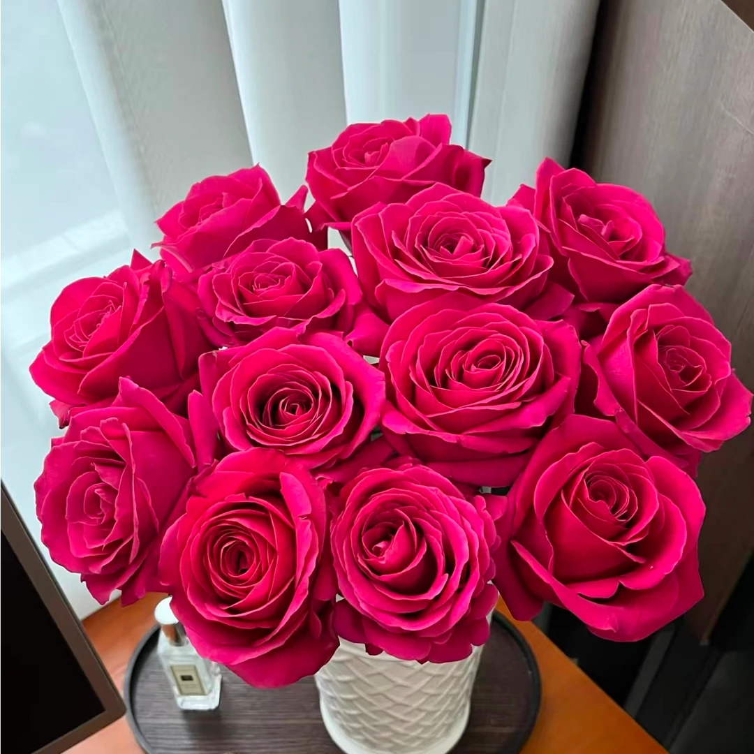 【弗洛伊德】全场任意满两单升级顺丰云南基地鲜切花