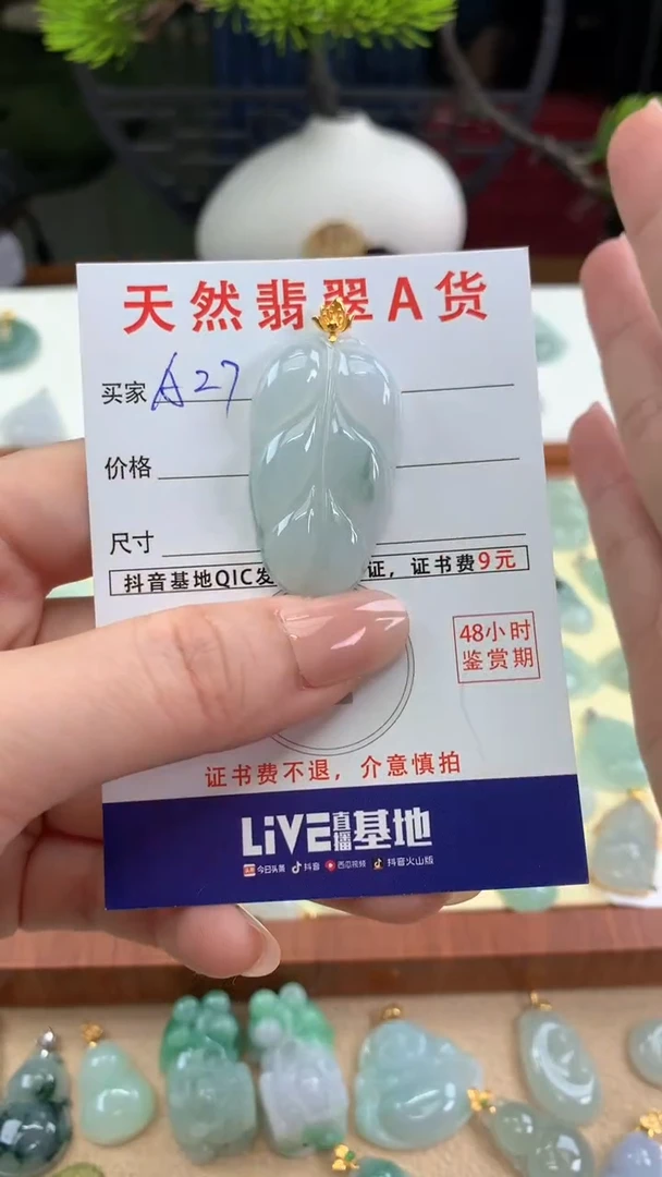 颈饰未镶嵌翡翠天然A货翡翠挂件