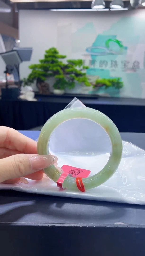 未镶嵌手镯翡翠8