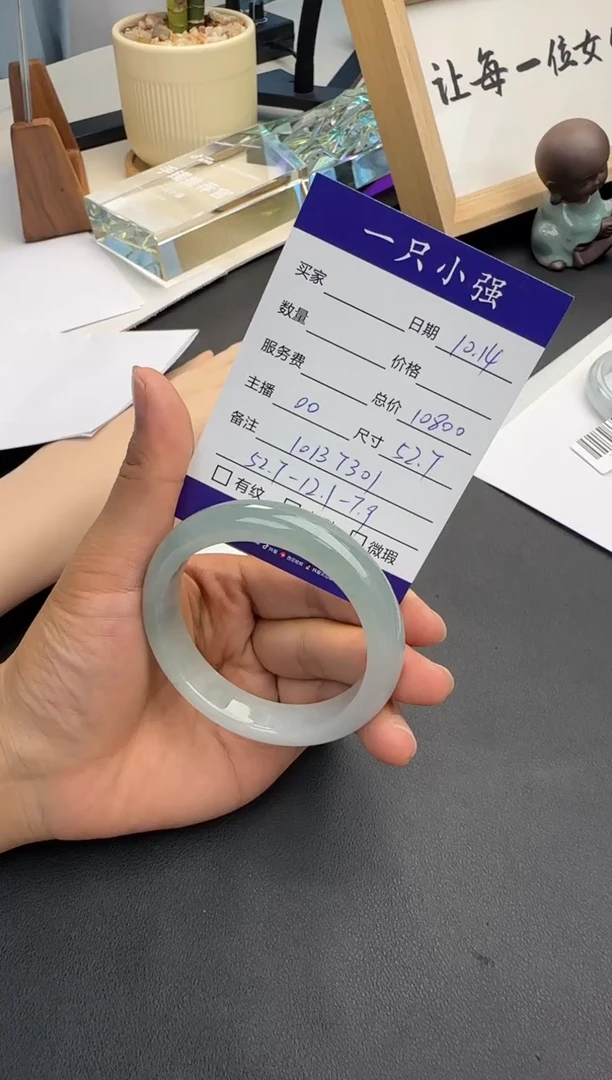 未镶嵌手镯翡翠10137301