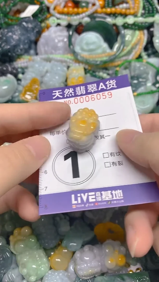 颈饰未镶嵌翡翠0006059