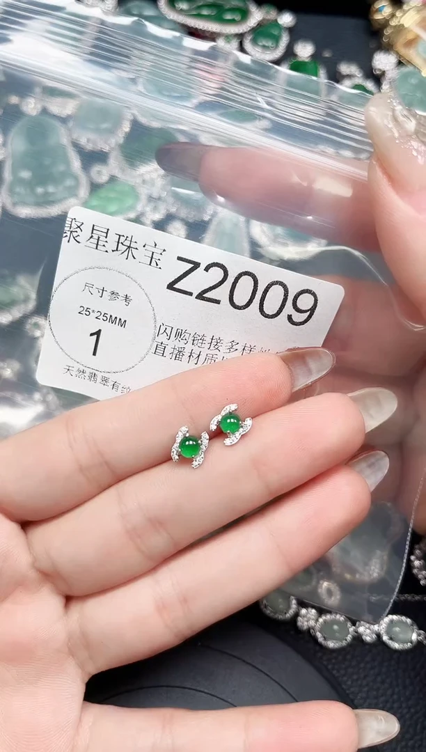 【闪购商品】翡翠颈饰未镶嵌赠皮绳2009