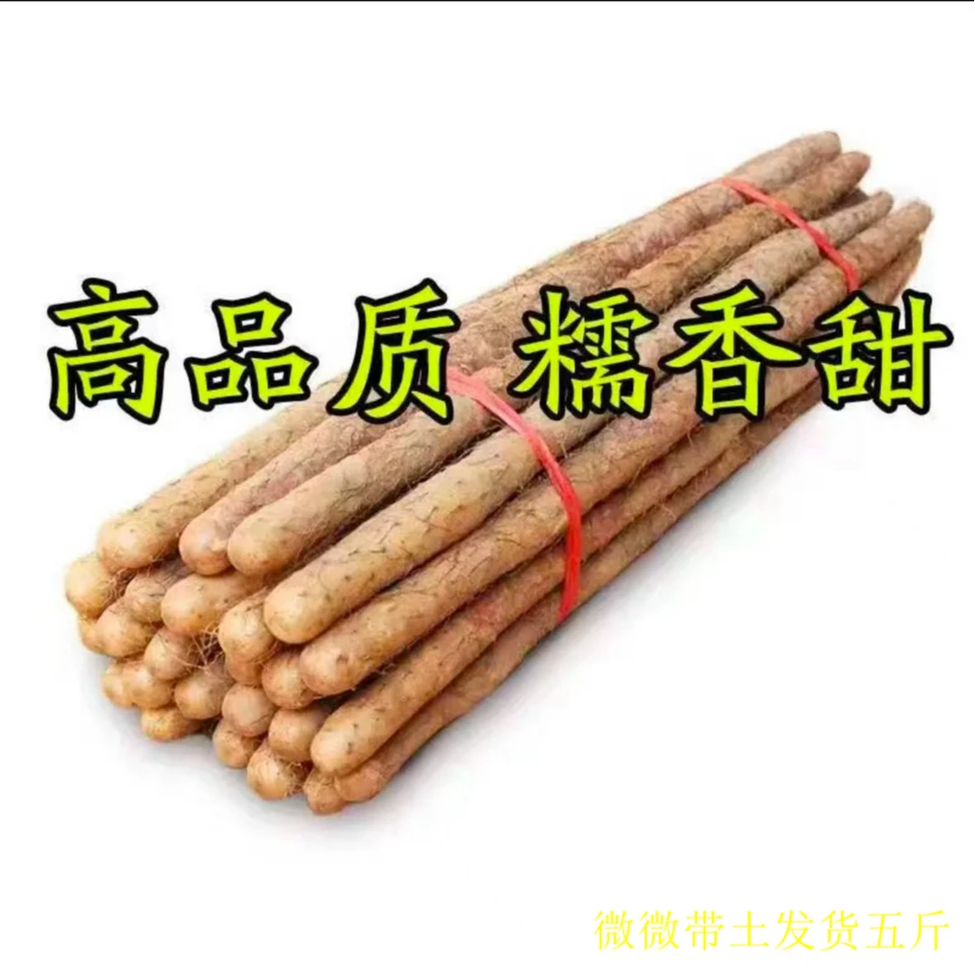 铁棍山药软糯香甜产地直发生鲜宝宝辅食带土30-50厘米