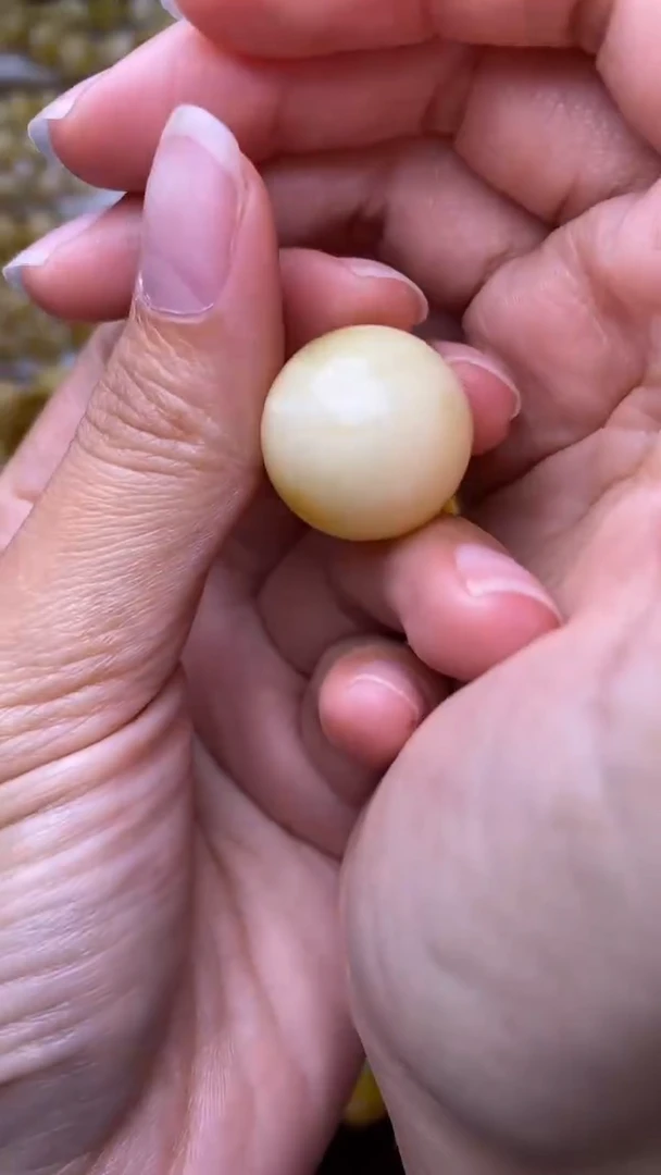 裸石蜜蜡未镶嵌葵.39