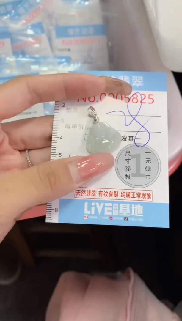 翡翠未镶嵌颈饰5825