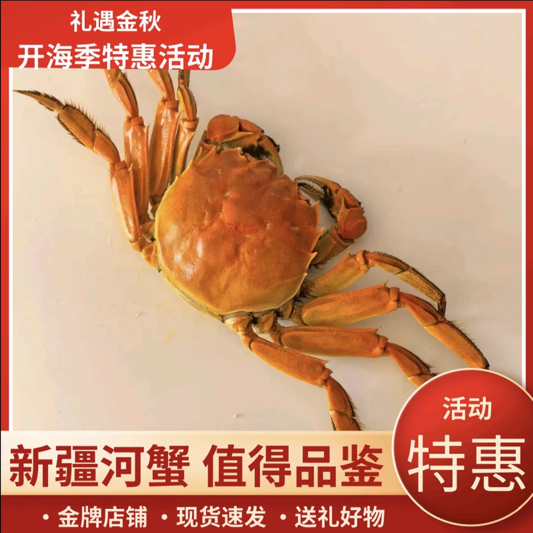 伊犁察县活蟹京东1公斤全母1.6--2两（10-12只）