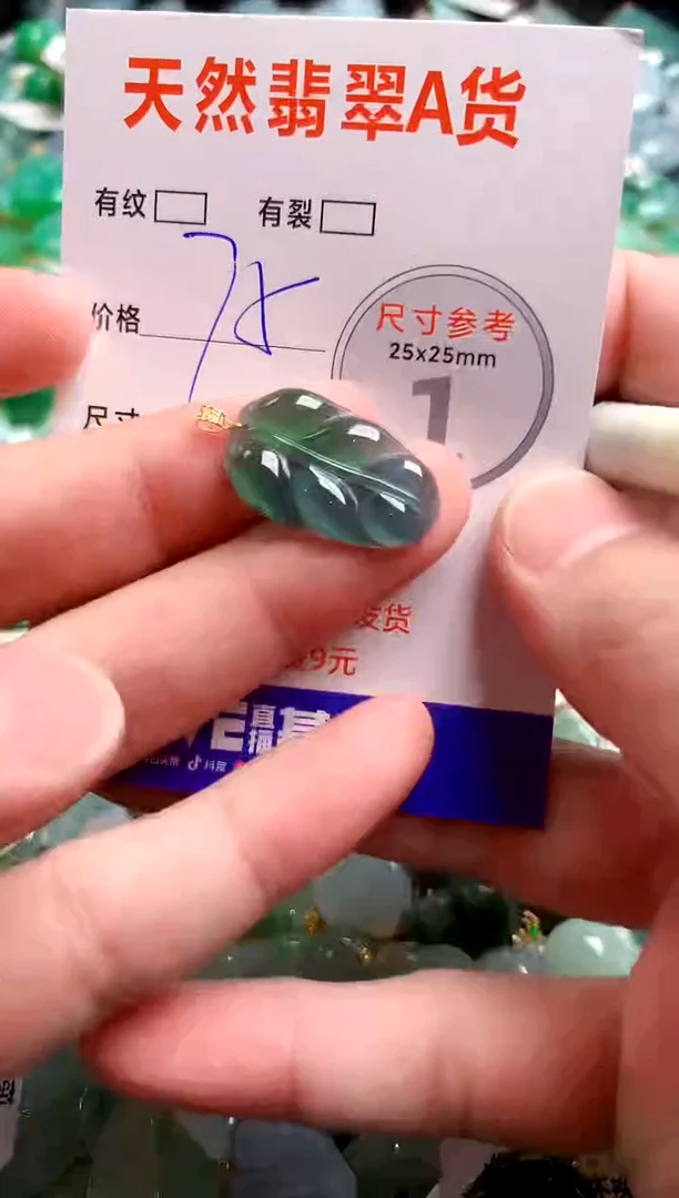 翡翠18K金镶嵌颈饰14004718