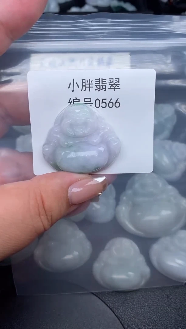 翡翠未镶嵌颈饰缅甸天然A货翡翠0566