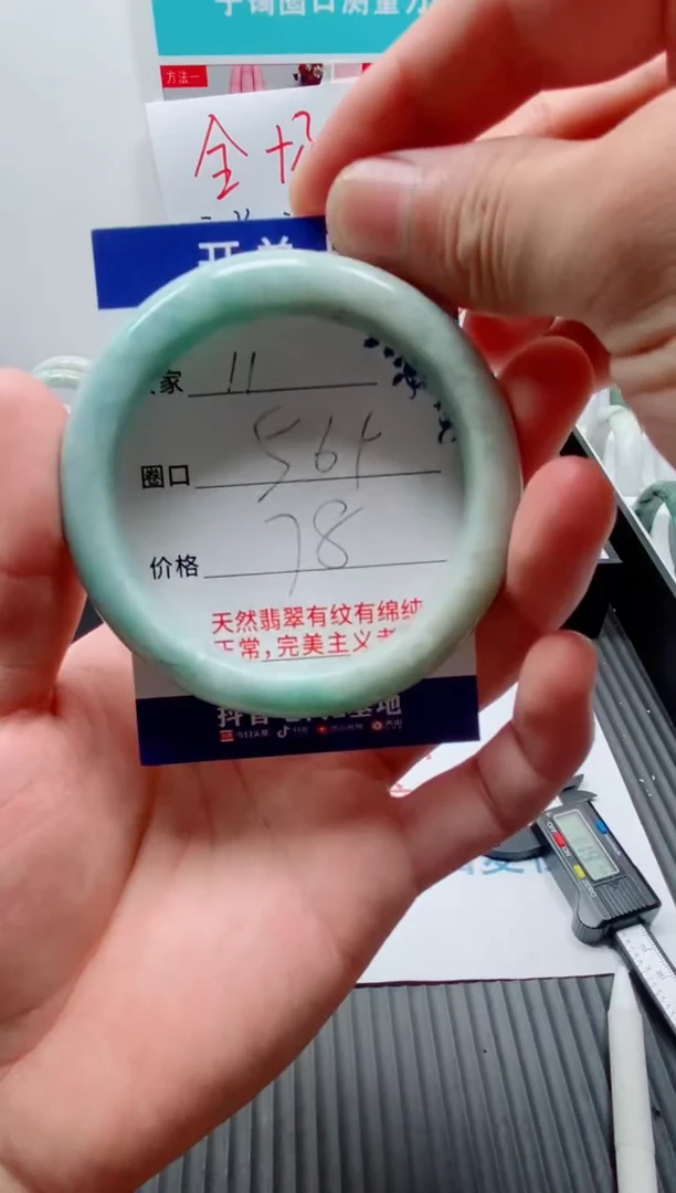 未镶嵌手镯翡翠11